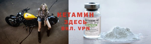прущие грибы Калининец